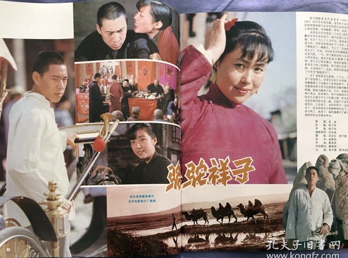 19 骆驼祥子 张丰毅 斯琴高娃 殷新 封星榜