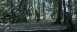 The-Haunting-of-Deiana-Wood-147