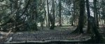 The-Haunting-of-Deiana-Wood-151