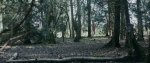 The-Haunting-of-Deiana-Wood-171